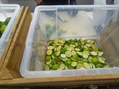 -introlemons(北京西单更新场店)