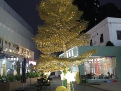 -长洲岛