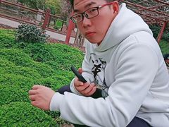 -嘉定紫藤园
