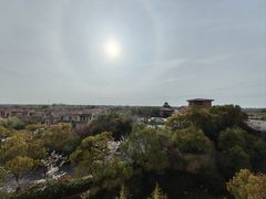 -上海崇明金茂凯悦酒店