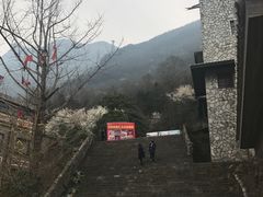 -九皇山景区