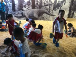 点击看大图 -恐龙探索乐园(磁器口店)