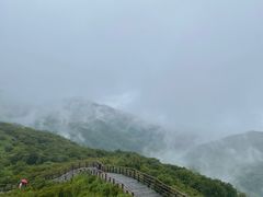-大围山国家森林公园