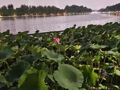 -悦界酒吧(后海店)