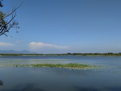 -野鸭湖国家湿地公园