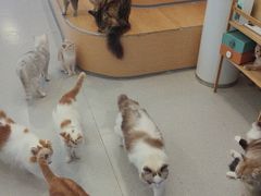 -小小班私人影院·猫咖(万达茂广场店)