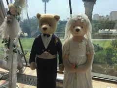 -济州岛泰迪熊博物馆