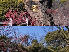 -无锡梅园公园