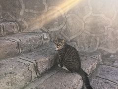 -鸡鸣山旅游景区