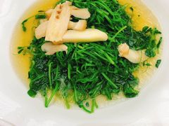 -绿波廊七号(豫园新路店)