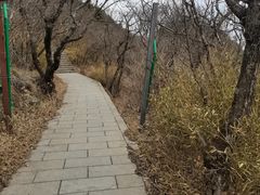 -牛背梁国家森林公园