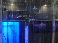 -大自然花鸟鱼虫市场