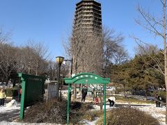 -玲珑塔公园