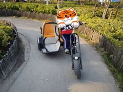 -季高兔窝窝亲子园(上海薰衣草公园店)