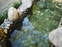 -徂徕山森林康养度假谷温泉