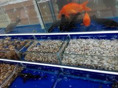 android_upload_pic-海鲜城大家餐厅