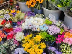 -循礼门鲜花花市(武汉循礼门店)