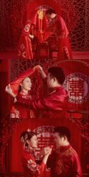 点击看大图 -桔子摄影