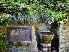 -十八棵（老龙井）御茶园(老龙井店)