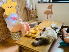-楼上猫咖(罗湖店)
