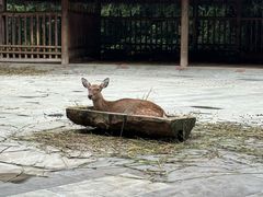 景点-金沙遗址博物馆