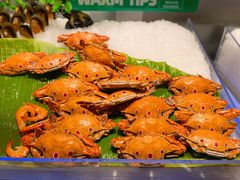 -亚马逊环球美食百汇(新城吾悦广场店)