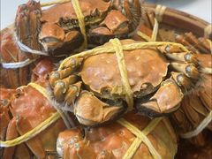 -蟹天蟹地农家菜·阳澄湖大闸蟹(浅水湾店)
