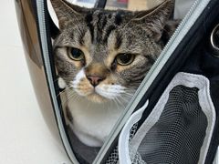-宠颐生中康贝怡动物医院