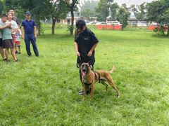 -北京京卫宠物寄养训练中心