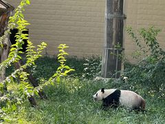 -石家庄市动物园