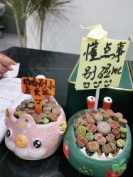 -禾曼造型