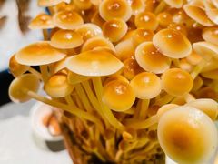 活体金针菇-ONE FULL 古董港式海鲜火锅