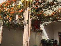-尼玛藏家风味园(阿山食城店)