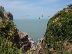 -海驴岛(荣成市)