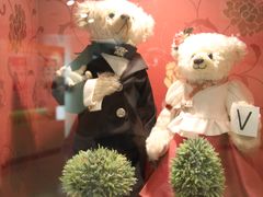 -济州岛泰迪熊博物馆