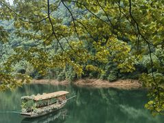 -鼎湖山风景区