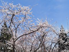 -玲珑塔公园