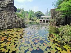 -广州莲花山旅游区