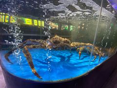 -蟹之国·精品蟹料理(极地店)