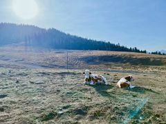 -新疆国际大巴扎