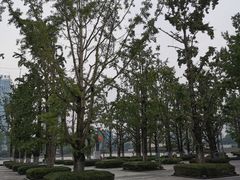 -百林公园-两江幸福广场