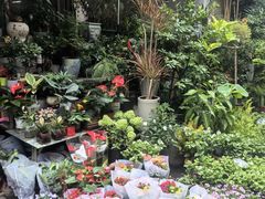 -苏州市皮市街花鸟工艺品市场