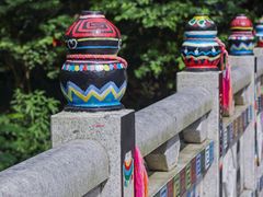 -西双版纳原始森林公园