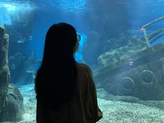 -福州罗源湾海洋世界旅游区