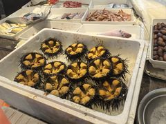 -万盛合(渔人码头店)