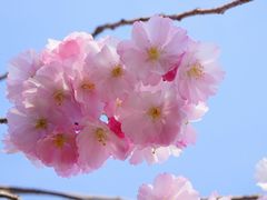 -彭厨(玉荣庄店)