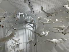 -梵高星空艺术馆(北京旗舰店)