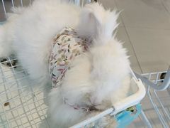 -怪兽屋·羊驼·猫咖·狗咖(俊华广场店)