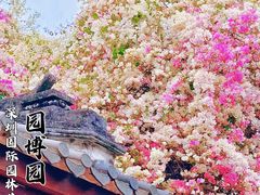 -深圳国际园林花卉博览园