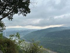 -铁山坪森林公园